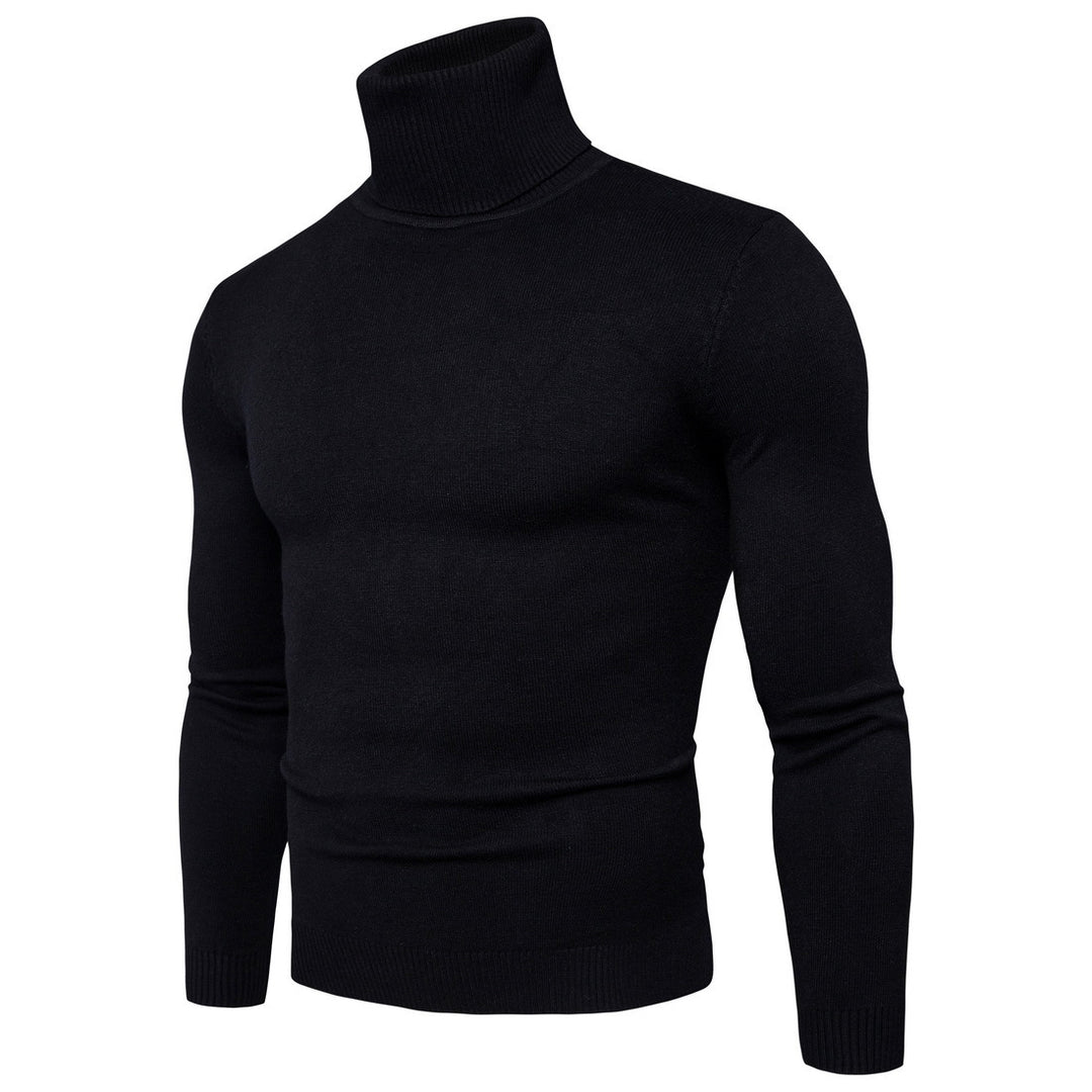 Herren Rollkragenpullover aus feiner Merinowolle Aliams