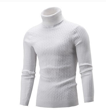 Herren stilvoller Rollkragenpullover mit Zopfmuster Aliams