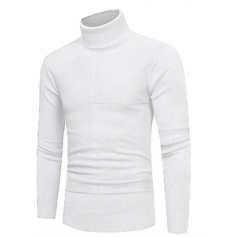 Herren Rollkragenpullover mit strukturierten Akzenten Aliams