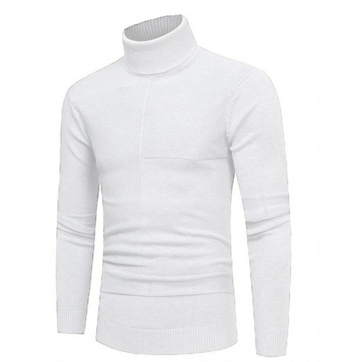 Herren Rollkragenpullover mit strukturierten Akzenten Aliams