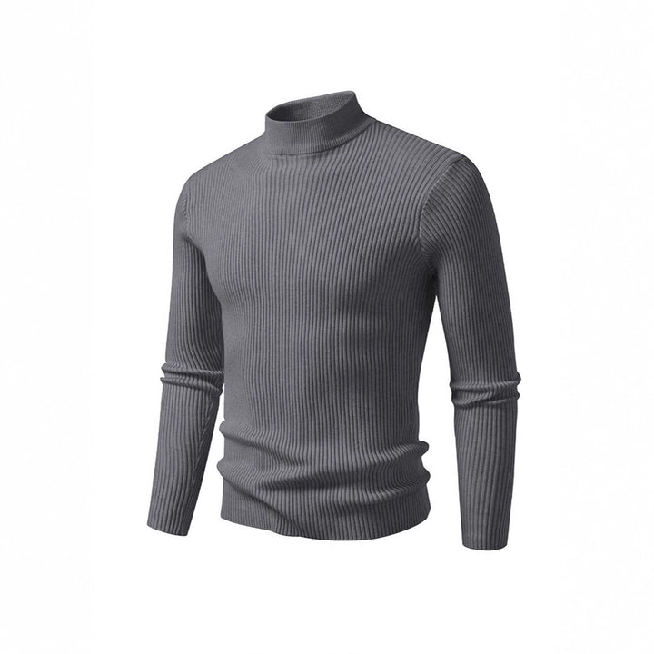 Herren Rollkragenpullover aus strukturiertem Strickmaterial Aliams