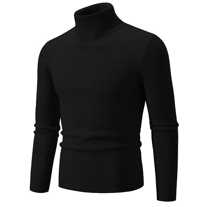 Herren Rollkragenpullover aus fein geripptem Material Aliams