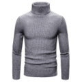 Herren Stehkragen Pullover aus feiner Rippenstrick Aliams
