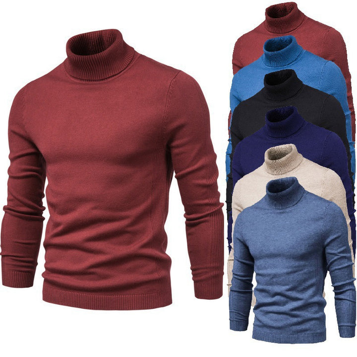 Herren eleganter Rollkragenpullover aus feinem Strick Aliams