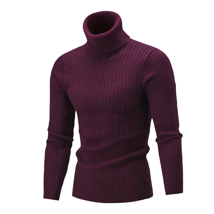 Herren Rollkragenpullover aus hochwertigem Strick Aliams