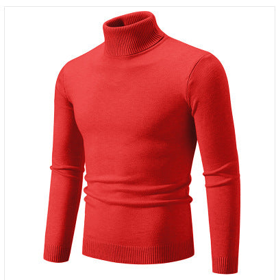 Herren Rollkragenpullover aus weichem Feinstrick Aliams