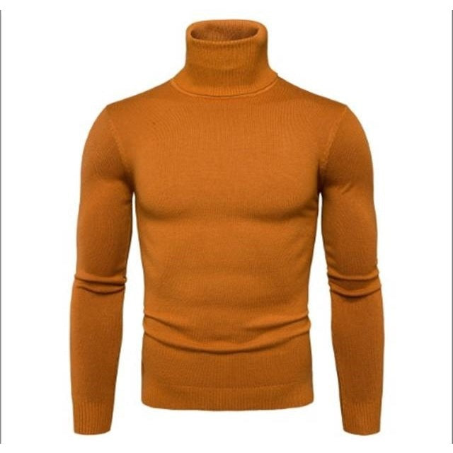 Herren Rollkragenpullover aus feiner Merinowolle Aliams