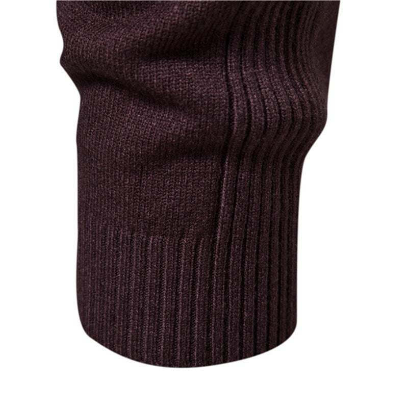 Herren Feinstrickpullover mit hohem Kragen und modernem Design Aliams