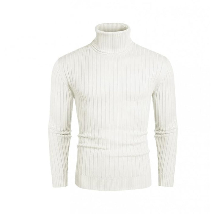 Herren Rollkragenpullover aus hochwertigen Strickmaterialien mit eleganter Rippenstruktur Aliams