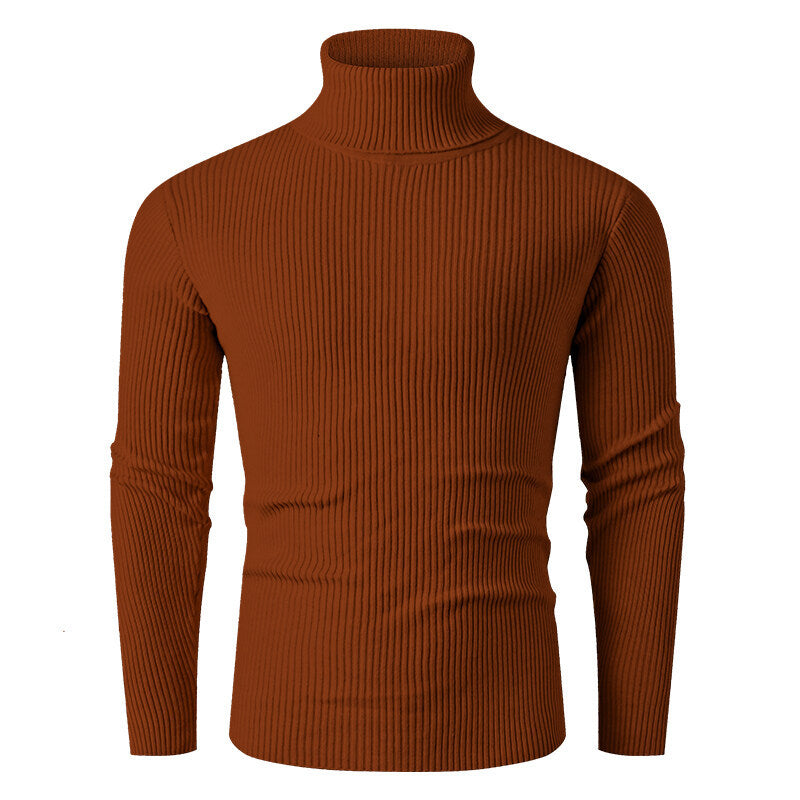 Herren Rollkragenpullover aus feinem Rippstrick Aliams