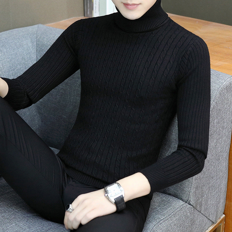 Herren Feinstrick Rollkragenpullover Aliams