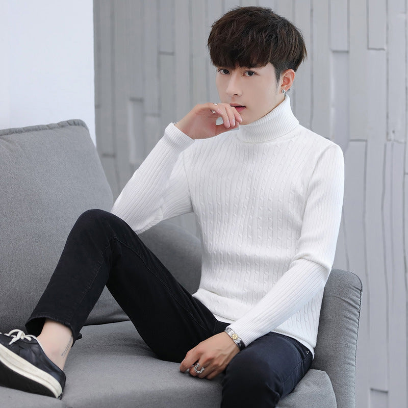 Herren Eleganter Rollkragenpullover mit Rippmuster Aliams