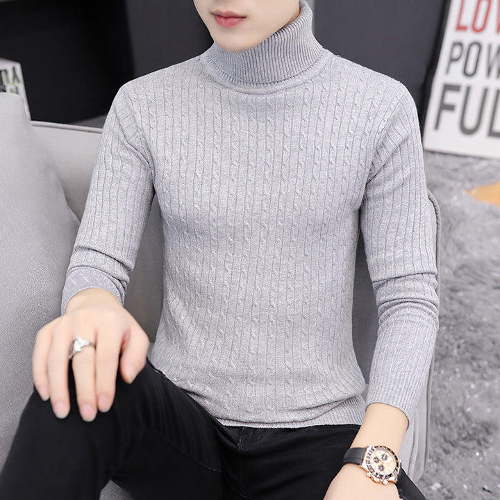 Herren Rollkragenpullover im stilvollen Rippstrickdesign Aliams