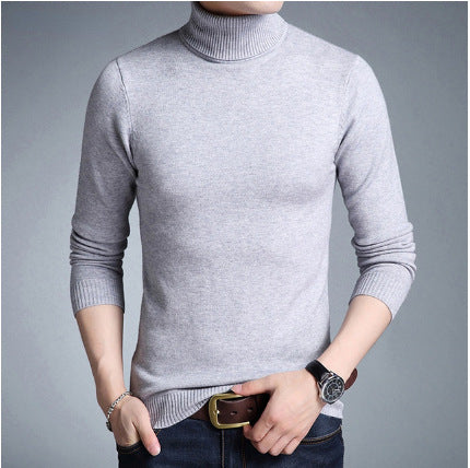 Herren Rollkragenpullover aus weichem Strick Aliams