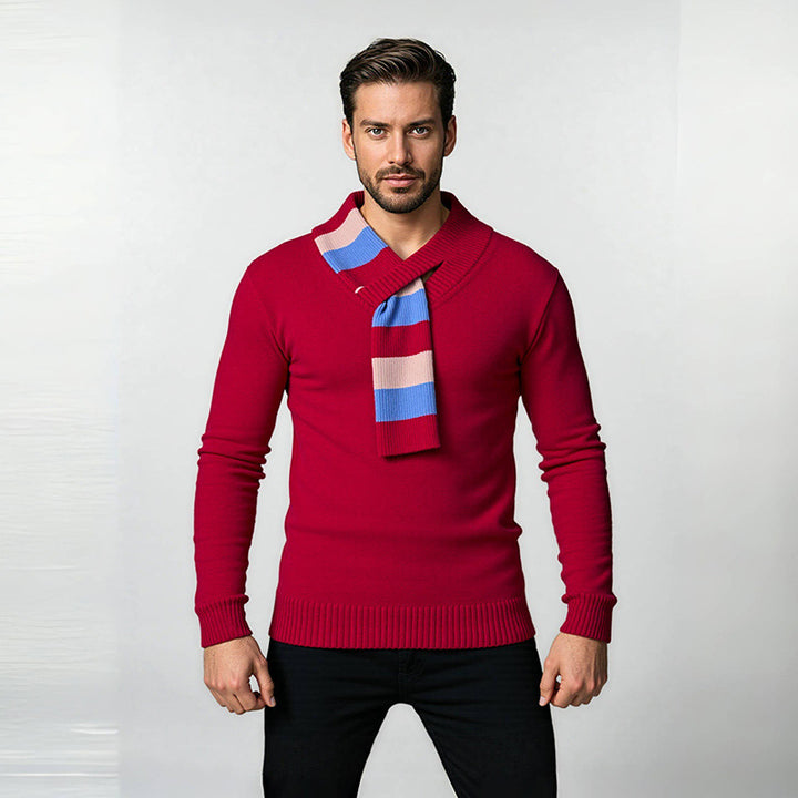 Herren Eleganter Pullover mit modernem Schalkragen und hochwertiger Verarbeitung Aliams