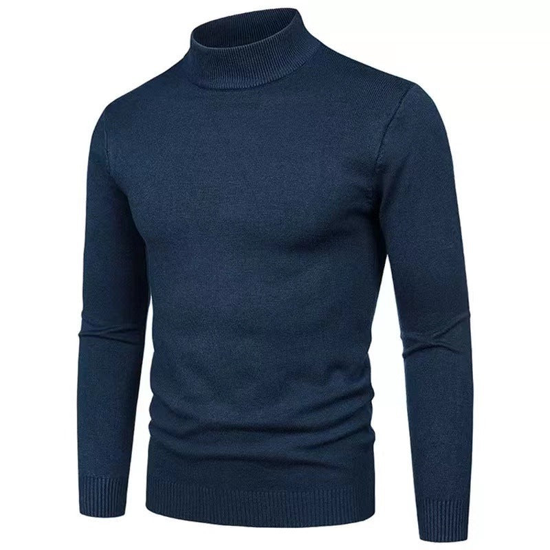 Herren Rollkragenpullover aus hochwertigem Strickmaterial mit feiner Textur Aliams