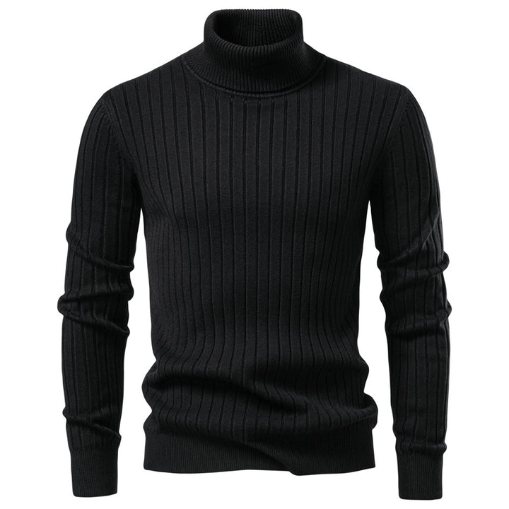 Herren Rollkragenpullover mit feinem Rippstrukturdesign Aliams