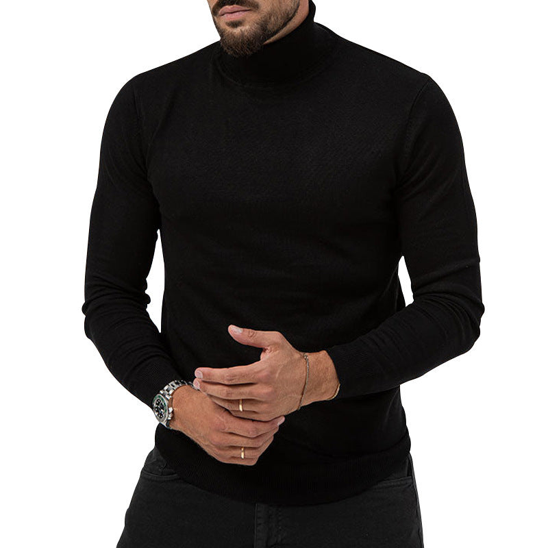 Herren eleganter Rollkragenpullover mit strukturierter Oberfläche und hochwertigem Baumwollmix Aliams
