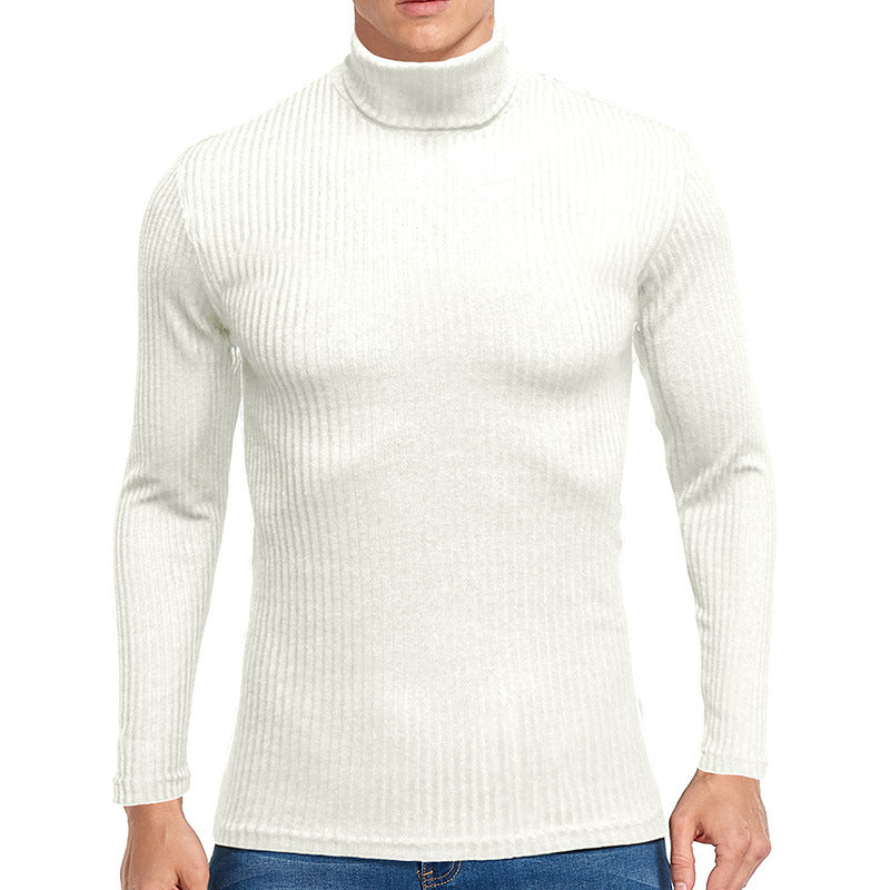 Herren feiner Rollkragenpullover aus strukturiertem Strick Aliams