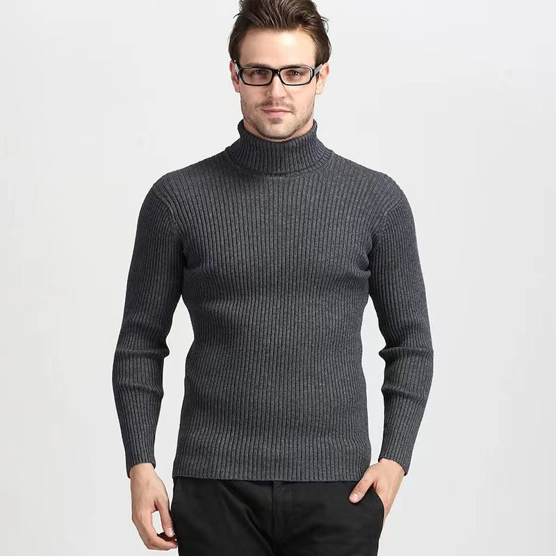 Herren Rollkragenpullover aus hochwertigem Strickmaterial mit Rippstruktur Aliams