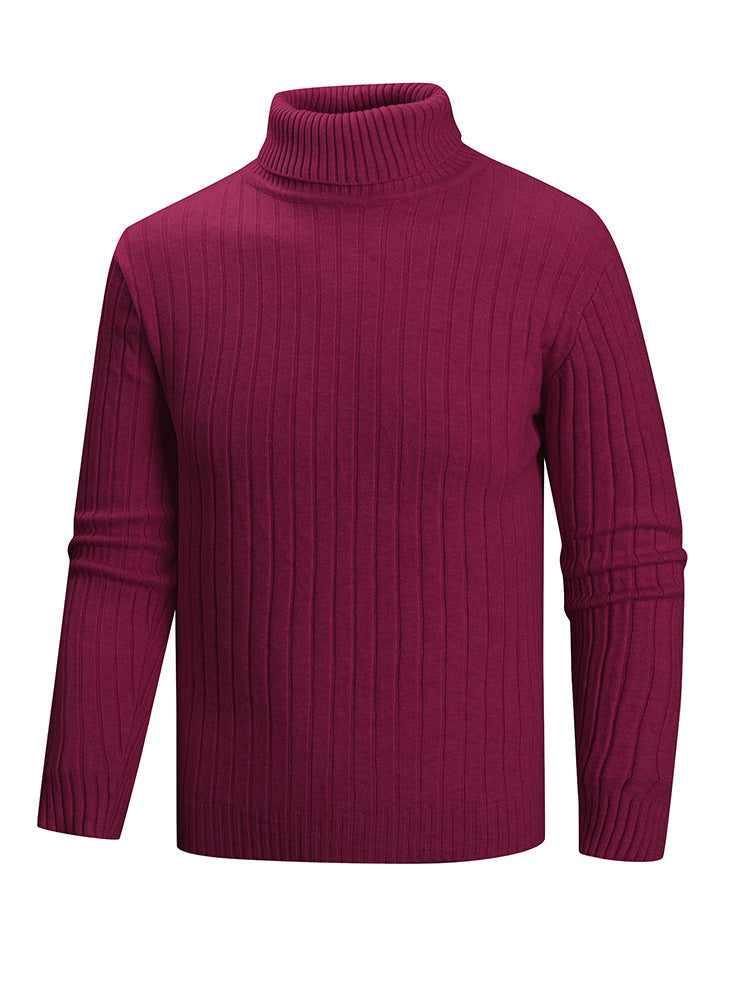 Herren Rollkragenpullover aus hochwertigem Feinstrick Aliams