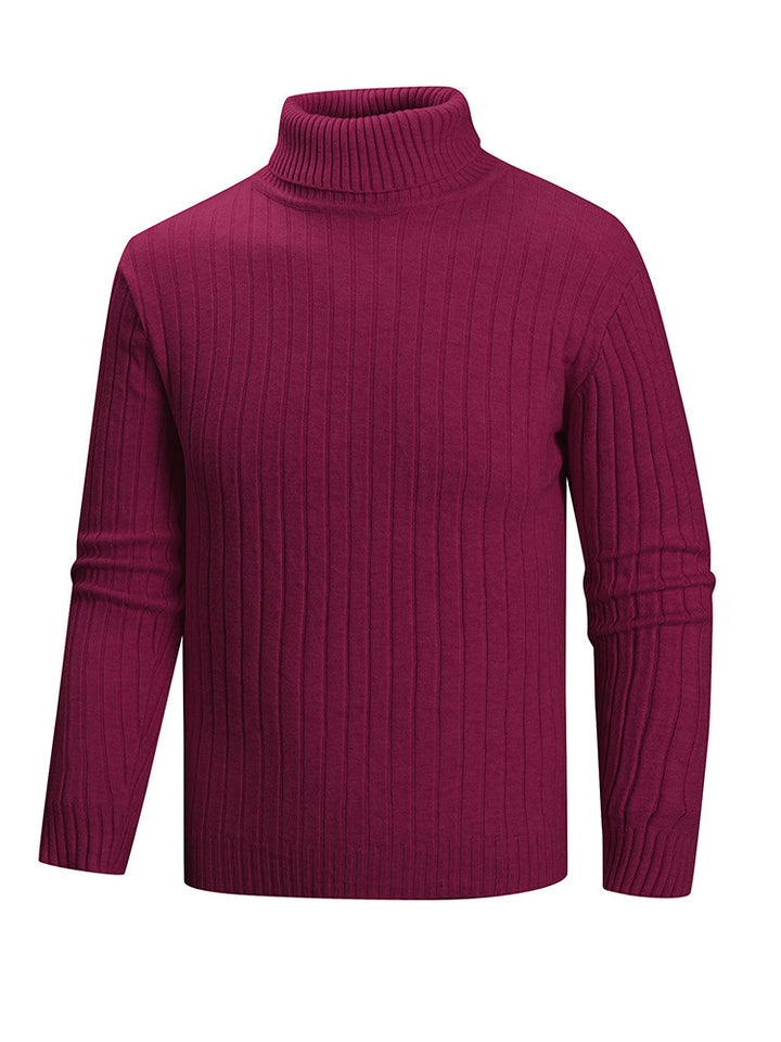 Herren Rollkragenpullover aus hochwertigem Feinstrick Aliams