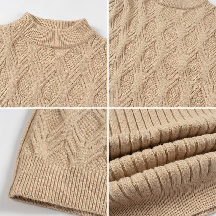 Herren Rollkragenpullover mit strukturierter Strickoberfläche Aliams