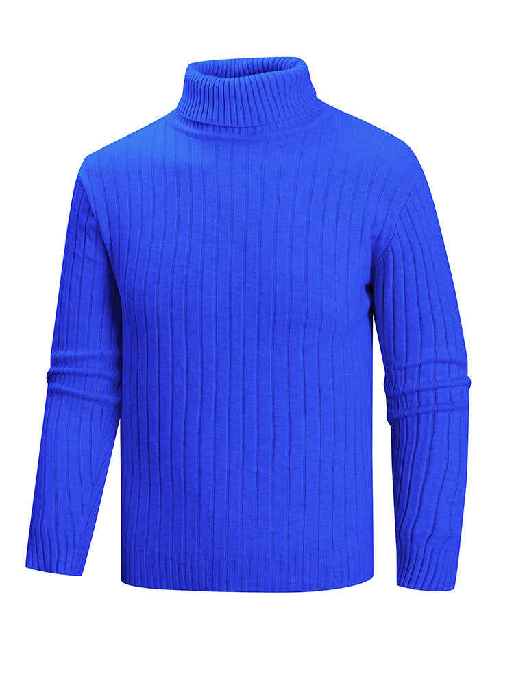 Herren Rollkragenpullover aus hochwertigem Feinstrick Aliams
