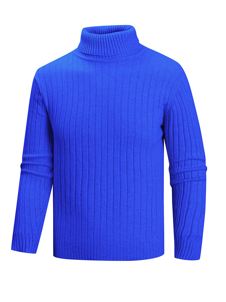 Herren Rollkragenpullover aus hochwertigem Feinstrick Aliams