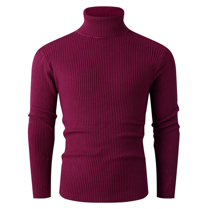 Herren eleganter Rollkragenpullover aus strukturiertem Strickmaterial Aliams