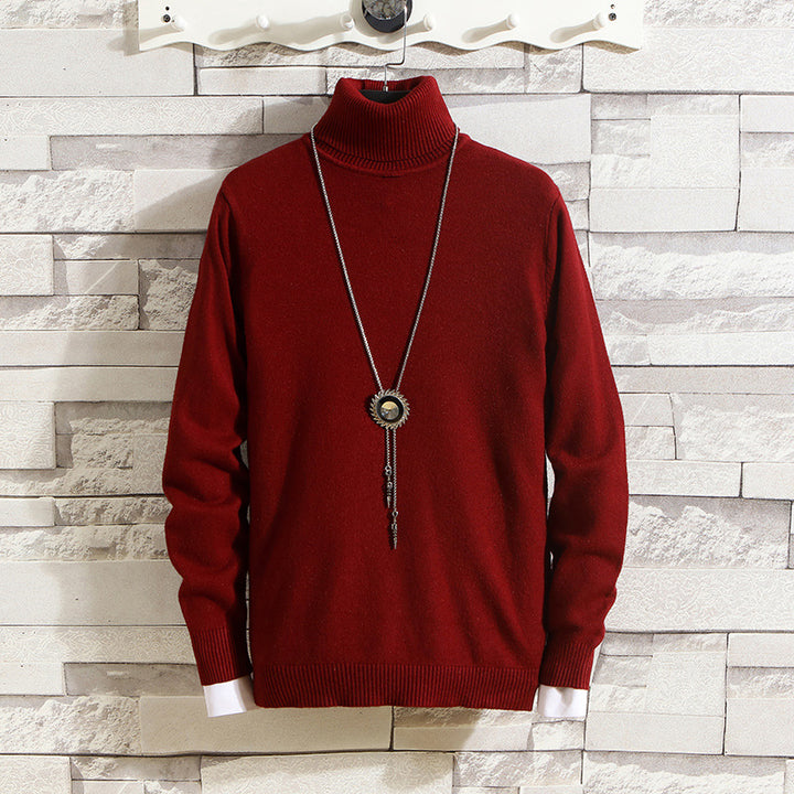 Herren Rollkragenpullover aus hochwertigem Strickmaterial Aliams