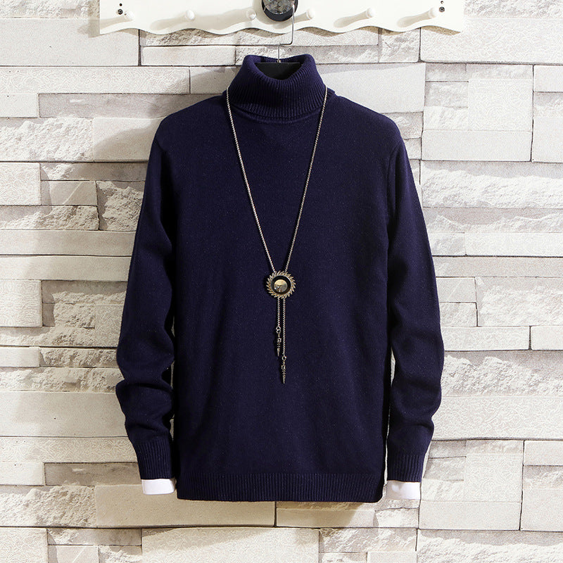 Herren Rollkragenpullover aus hochwertigem Strickmaterial Aliams