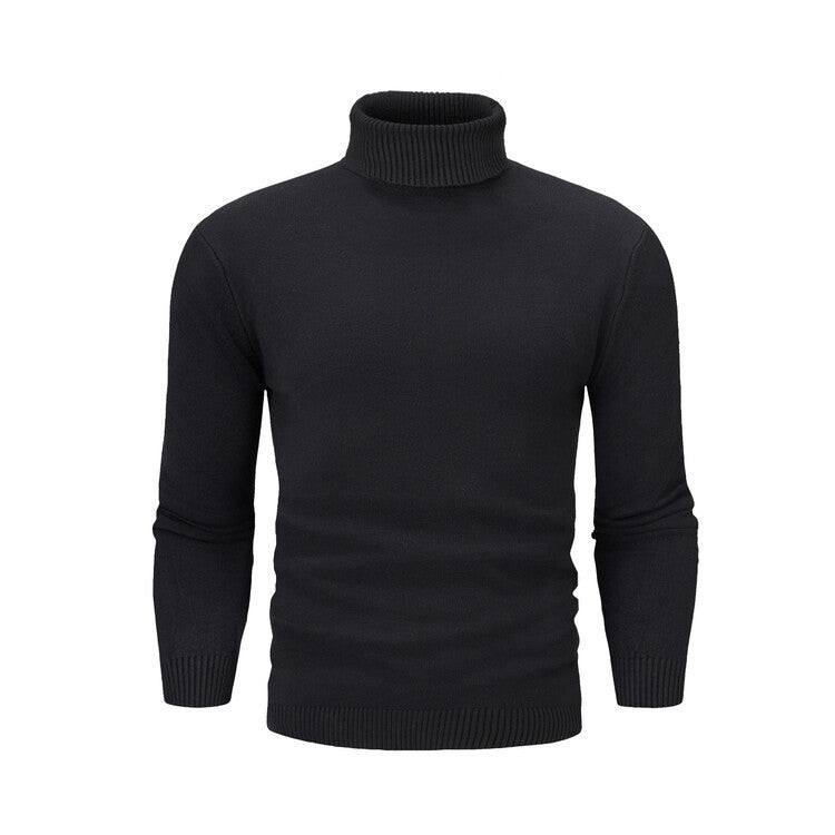 Herren eleganter Rollkragenpullover aus feiner Merinowolle Aliams