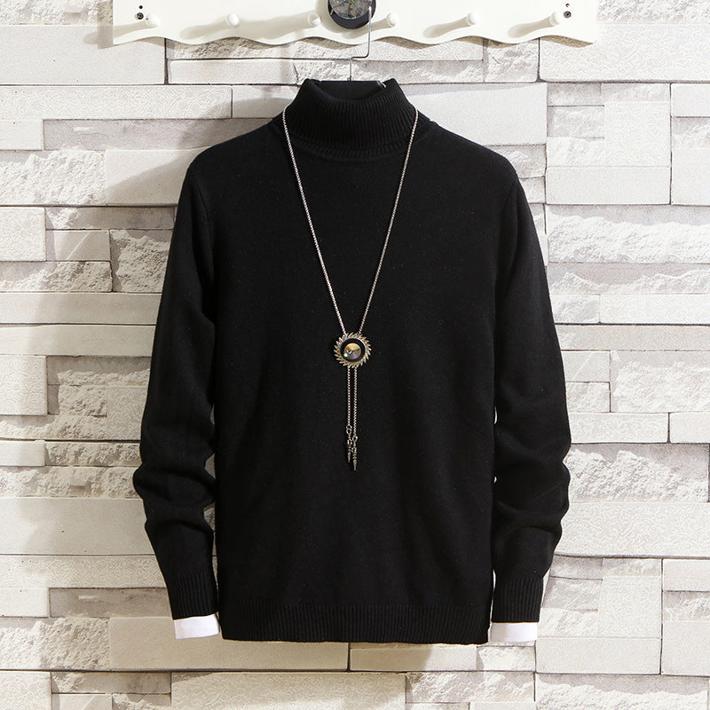 Herren Rollkragenpullover aus hochwertigem Strickmaterial Aliams