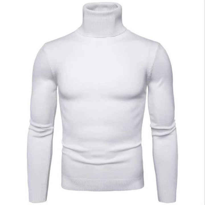 Herren Rollkragenpullover aus feiner Baumwolle mit figurbetontem Schnitt Aliams