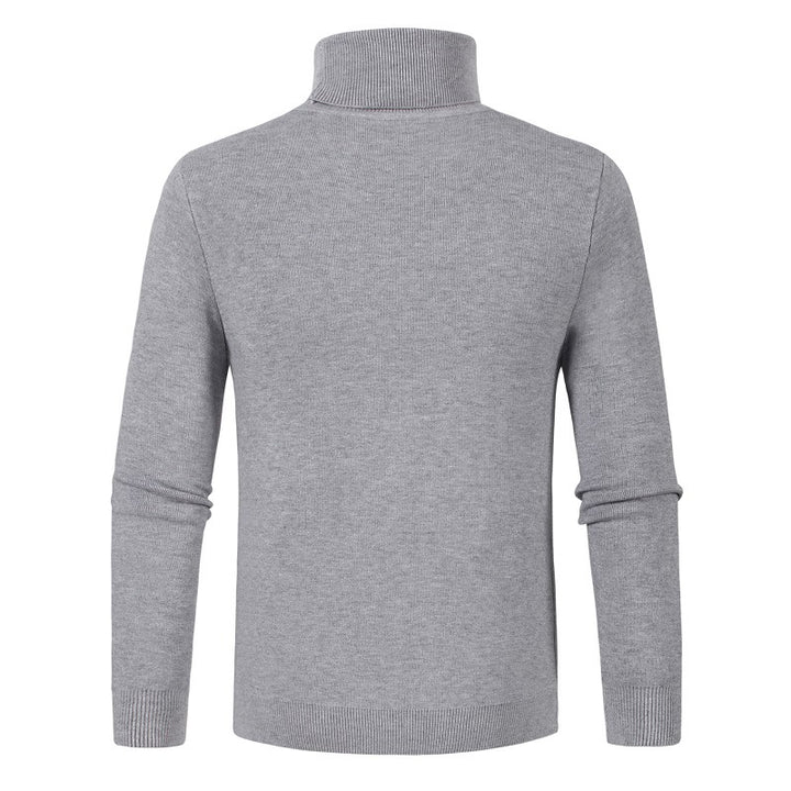 Herren Rollkragenpullover aus weichem Material Aliams