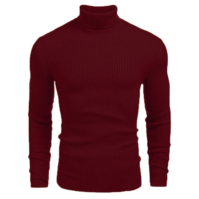 Herren Rollkragenpullover aus feinem Rippstrickmaterial Aliams