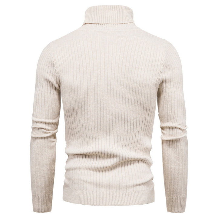 Herren Rollkragenpullover aus hochwertigem Strick Aliams
