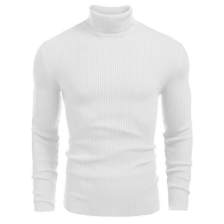 Herren Rollkragenpullover aus hochwertigem Strickmaterial mit Rippstruktur Aliams