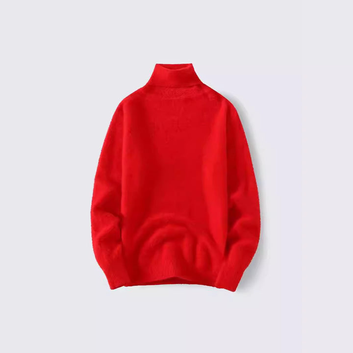 Herren warmer Rollkragenpullover aus weichem Strickstoff Aliams