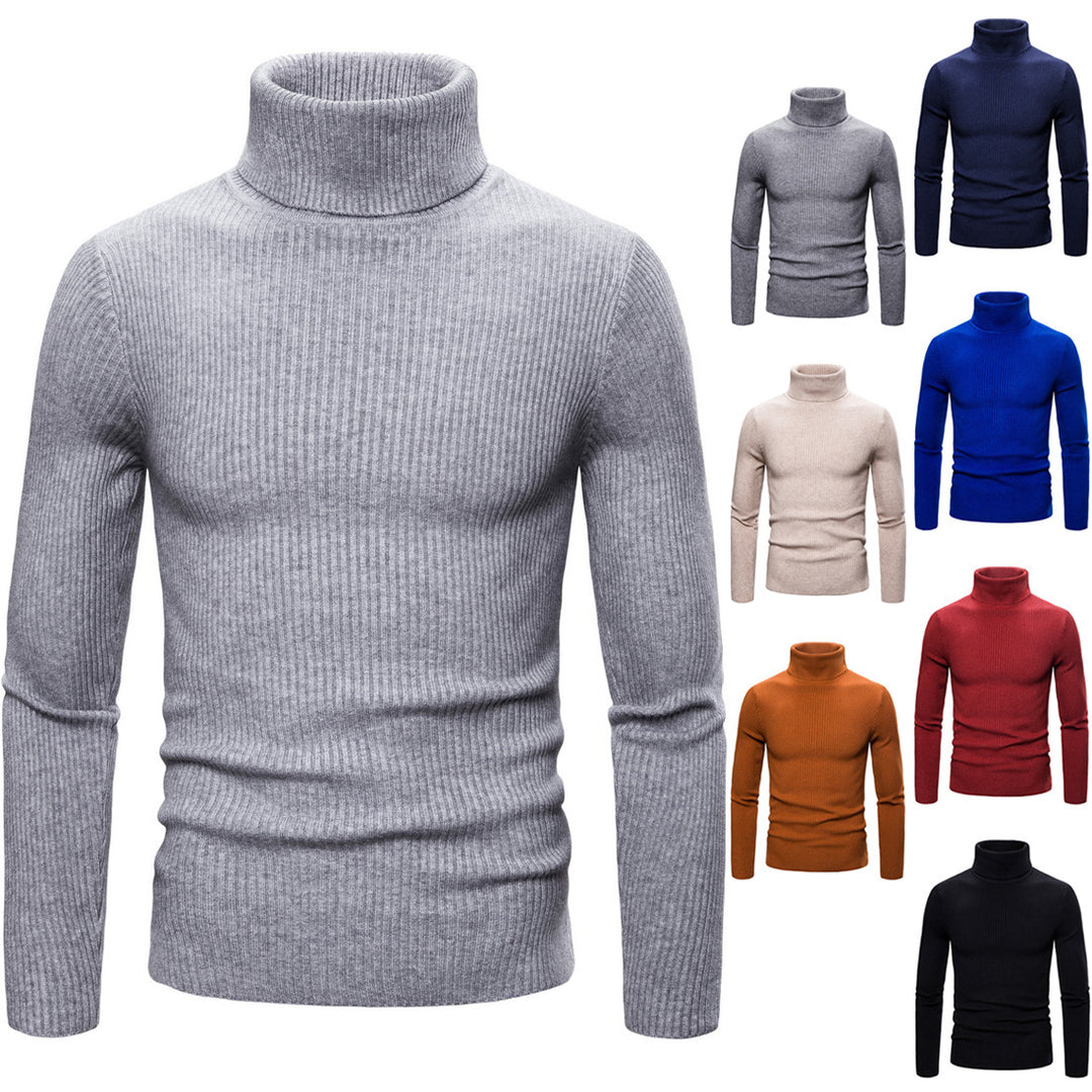 Herren Rollkragenpullover aus weichem Strick mit Rippstruktur Aliams