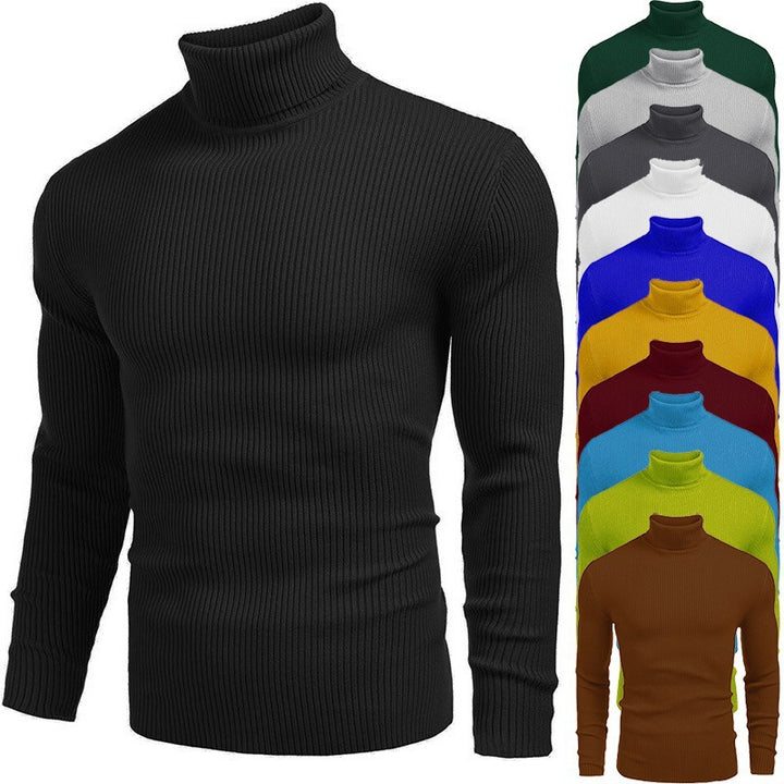 Herren eleganter Rollkragenpullover aus ribbed Strick Aliams