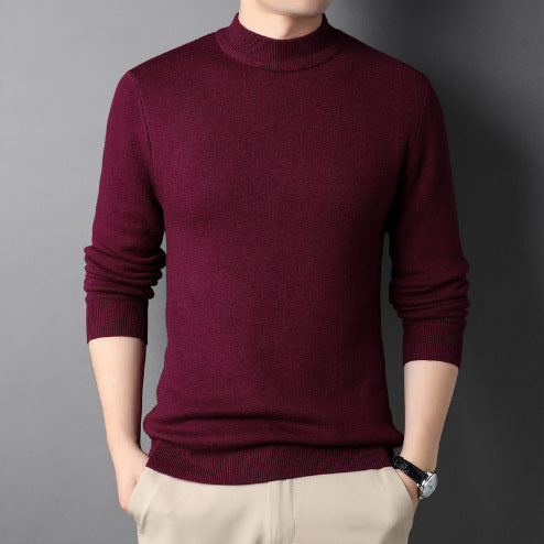 Herren Pullover mit hohem Kragen Aliams