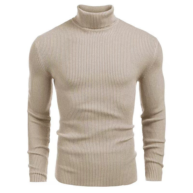 Herren Rollkragenpullover mit feiner Rippenstruktur und hohem Tragekomfort Aliams