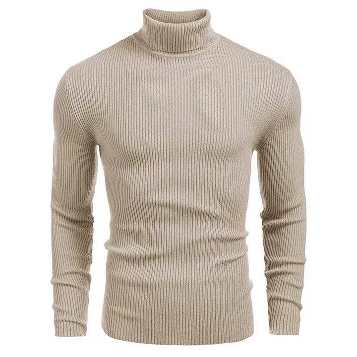 Herren Rollkragenpullover mit feiner Rippenstruktur und hohem Tragekomfort Aliams