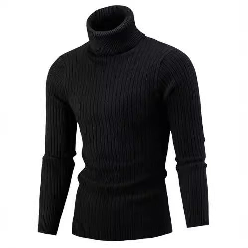 Herren Rollkragenpullover aus komfortabler Strickqualität Aliams