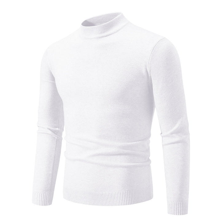 Herren Rollkragenpullover aus weichem Strickmaterial Aliams