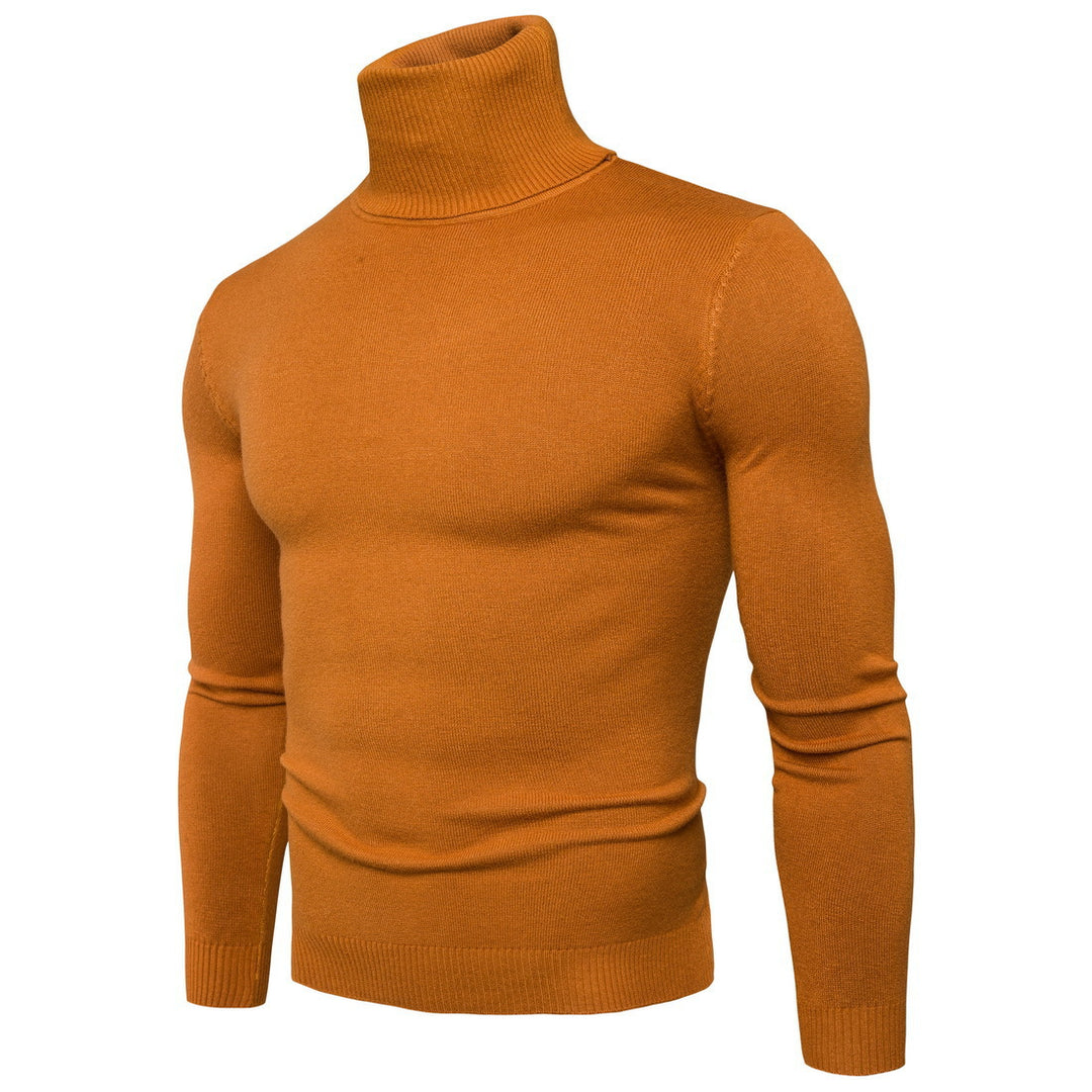 Herren Rollkragenpullover aus feiner Merinowolle Aliams