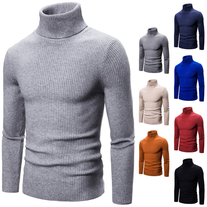 Herren Rollkragenpullover aus weichem Strick mit Rippstruktur Aliams
