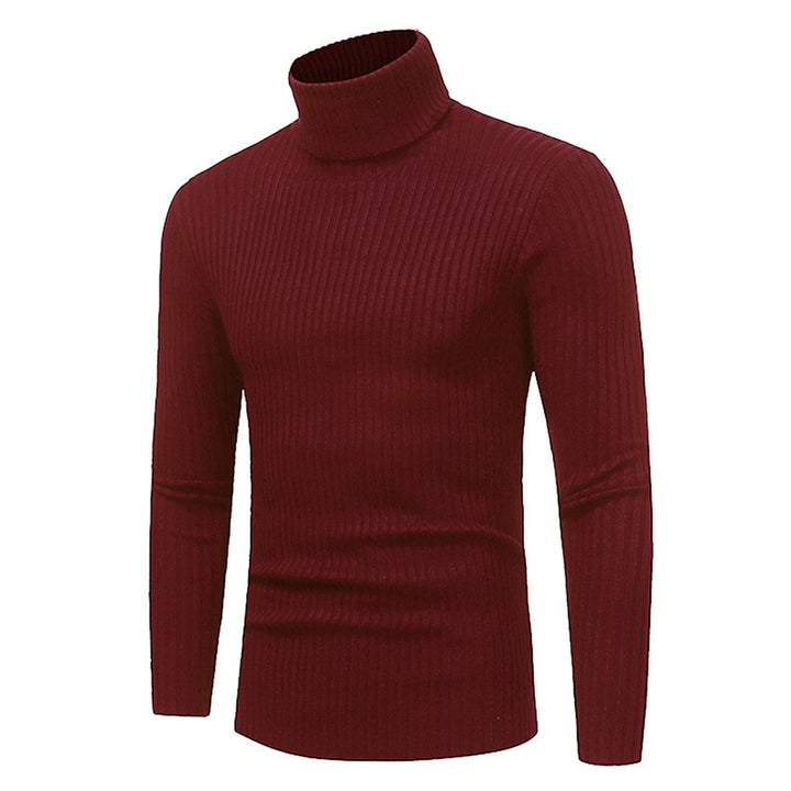 Herren Hochwertiger Rippenrollkragenpullover Aliams